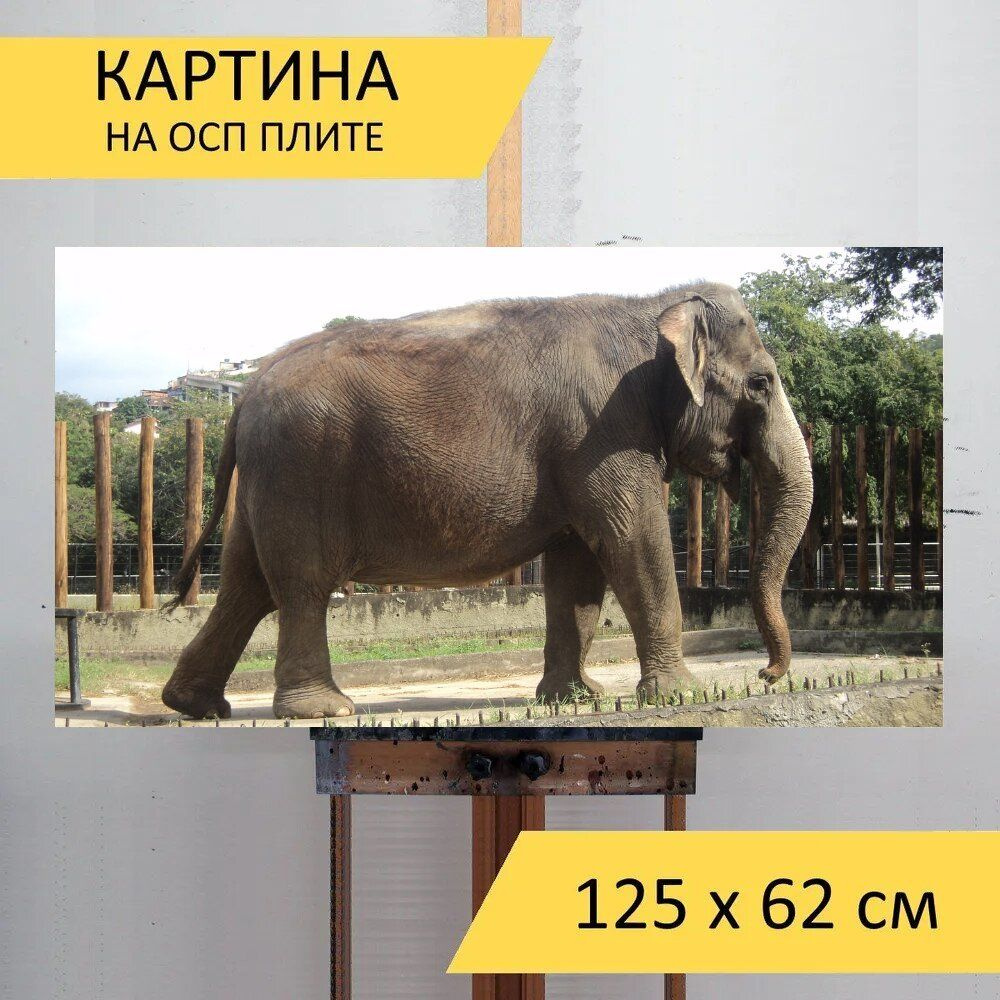 LotsPrints Картина "Слон, природа, зоопарк 79", 125  х 62 см #1