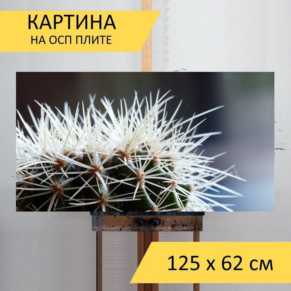 LotsPrints Картина "Кактус, крупный план, шипы 68", 125  х 62 см #1