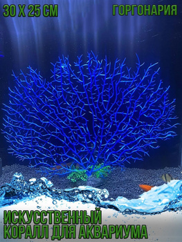 Живые Кораллы - удивительная часть Вашего аквариума
