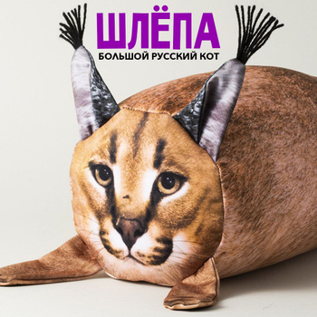 Кот Каракал Домашняя Кошка – купить в интернет-магазине OZON по низкой цене