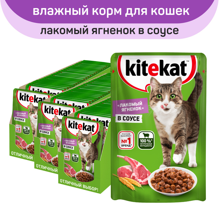 Влажный корм китикет. Kitekat ягненок в соусе.