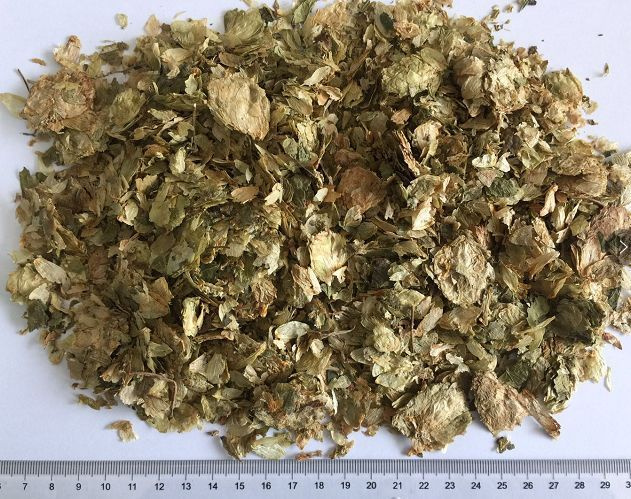 Семена Шишки Хмеля Купить