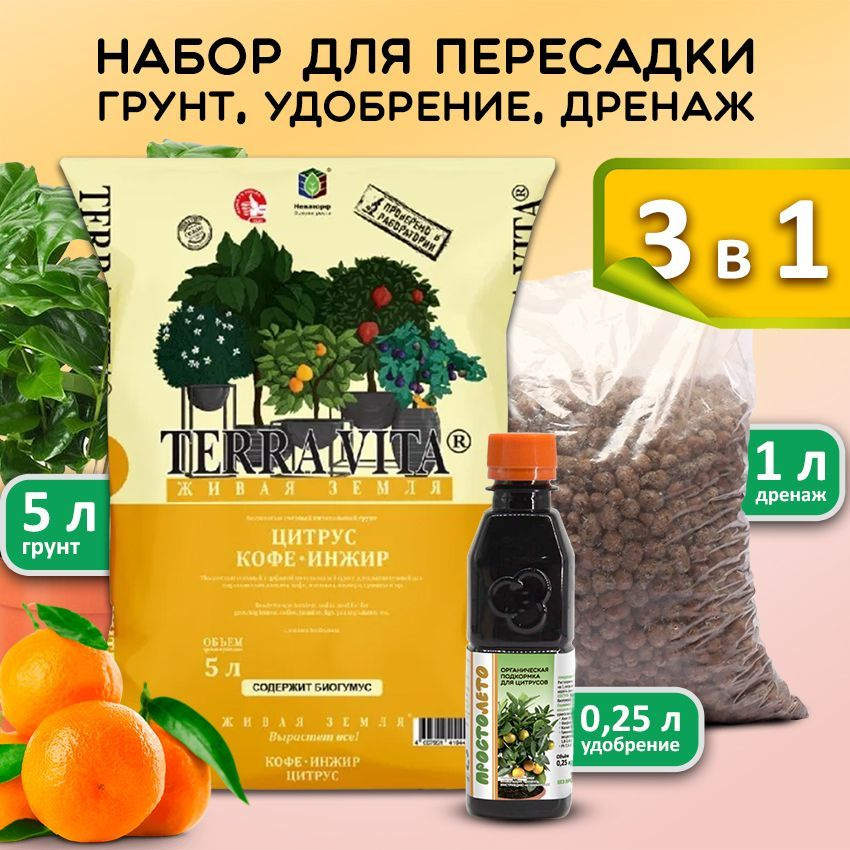 Удобрение для инжира. Размножение инжира черенками. Чем подкормить инжир летом в открытом грунте. Калийные удобрения для инжира. Подкормка инжира.