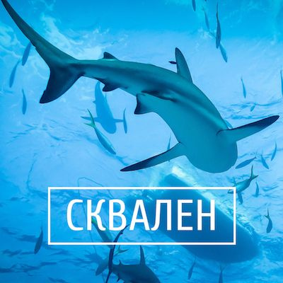 Текст при отключенной в браузере загрузке изображений