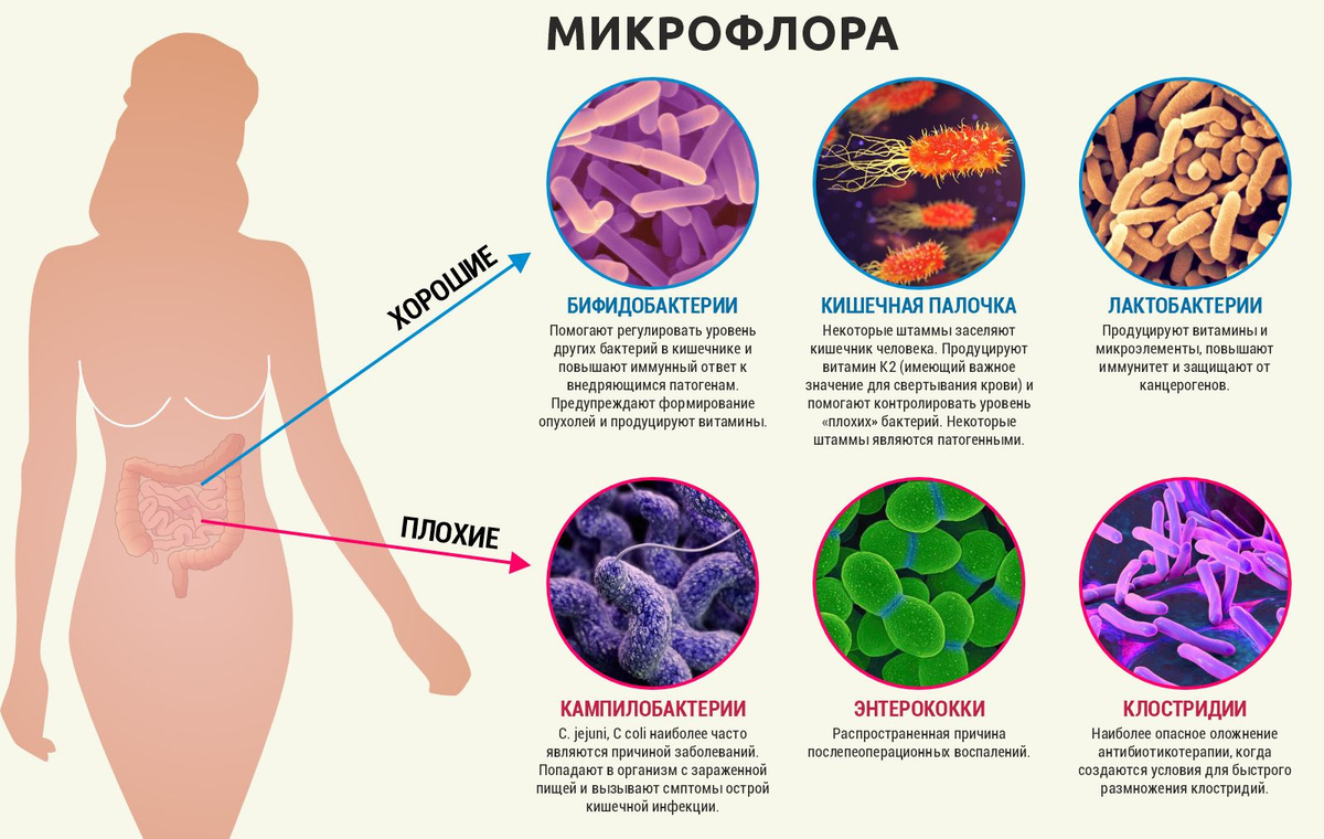 Текстовое описание изображения