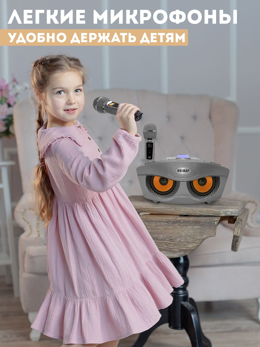 Караоке система беспроводная с двумя микрофонами SDRD SD-306 Plus Серый ...