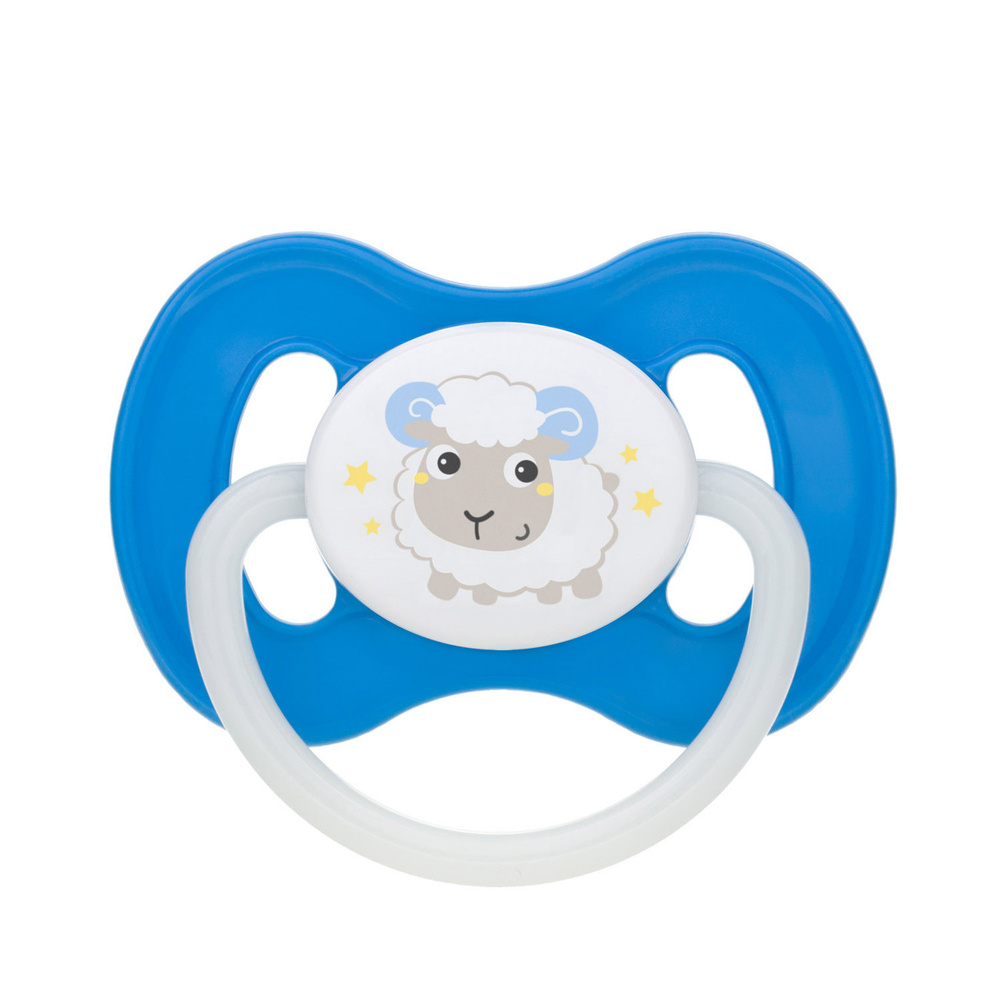 Пустышка Canpol Babies симметричная силиконовая, 6-18 Bunny & company, цвет: голубой  #1