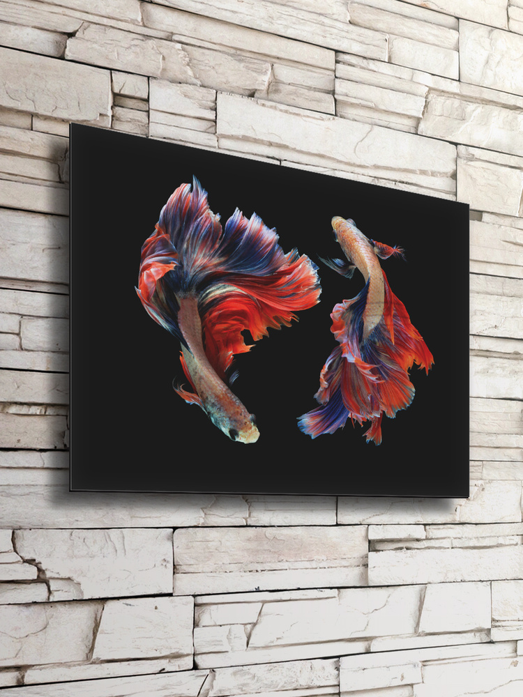 Картина на стекле Postermarket "Бойцовые рыбки", 40 х 50 см #1