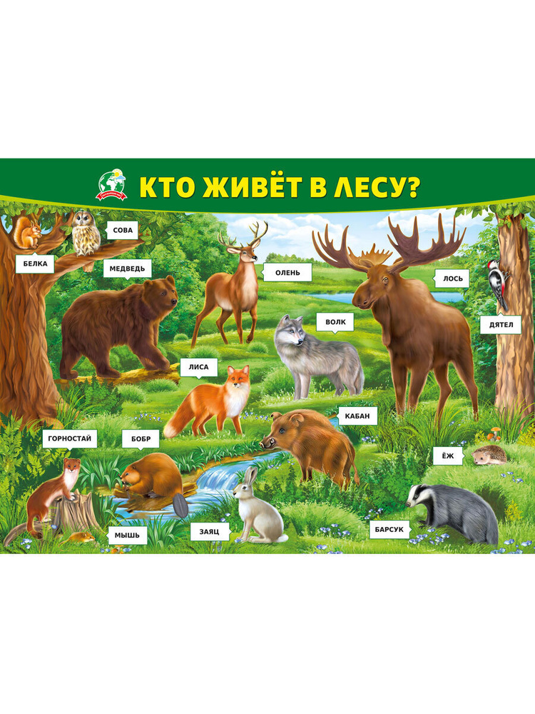 Обучающий плакат "Кто живёт в лесу", формат А2, Картон #1