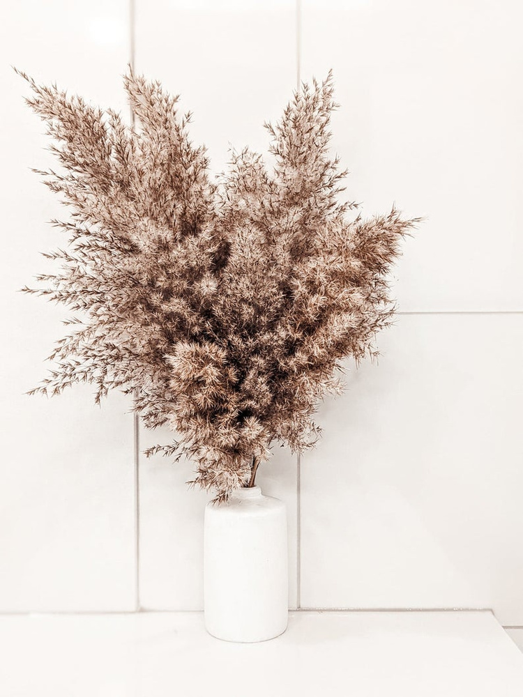 GLo Сухоцветы Пампасная трава, 75 см, 180 гр, 6 шт #1