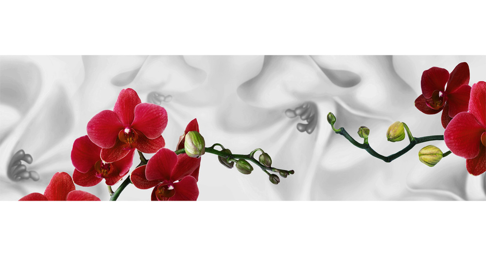 Кухонный фартук "Красные орхидеи 91" 2000*600мм, АБС пластик, фотопечать  #1