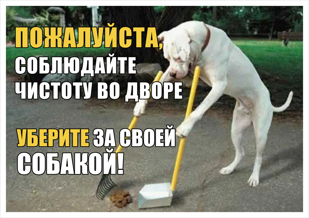 Табличка "Уберите за своей собакой!" 297x210 мм, А4 #1