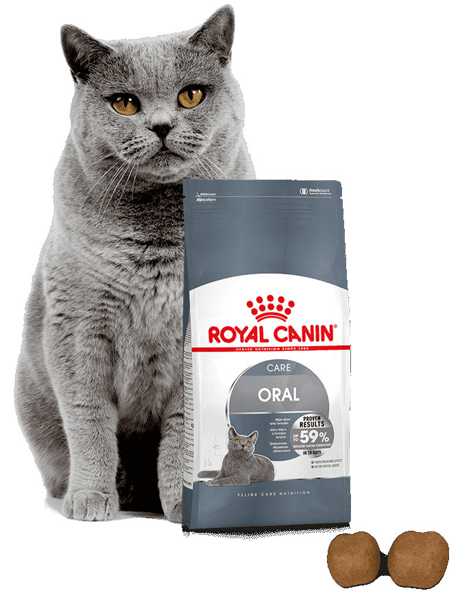 Корм Royal Canin ORAL CARE Корм для кошек в возрасте от 1 года и старше, обеспечивает гигиену полости #1