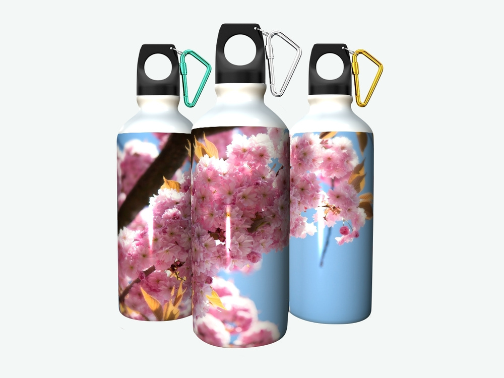 Бутылка фляга для воды "Японская сакура, prunus serrulata, розы" 750 мл ...
