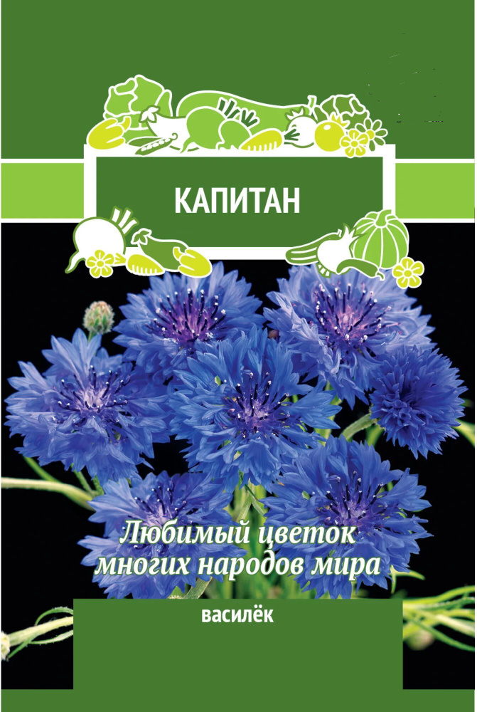 Семена Василек Капитан, 1г, однолетнее растение, с возможностью дальнейшего самопосева. Диаметр соцветия #1