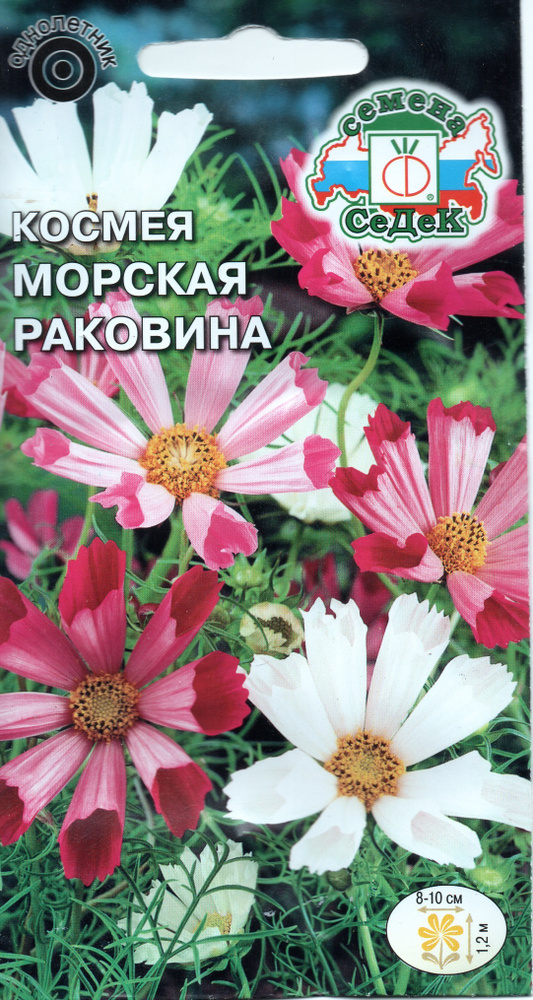 Космея Морская Раковина махр см, 0,3г., Седек #1