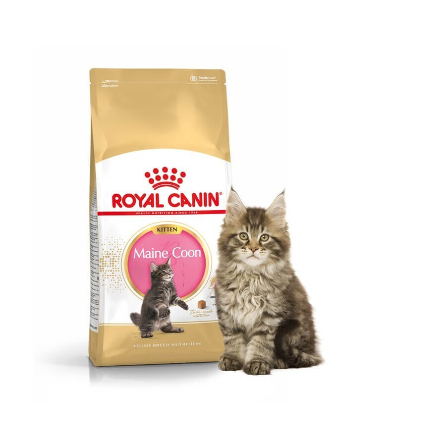 Корм сухой Royal Canin KITTEN MAINE COON Специальное питание для котят породы мейнкун и других крупных #1