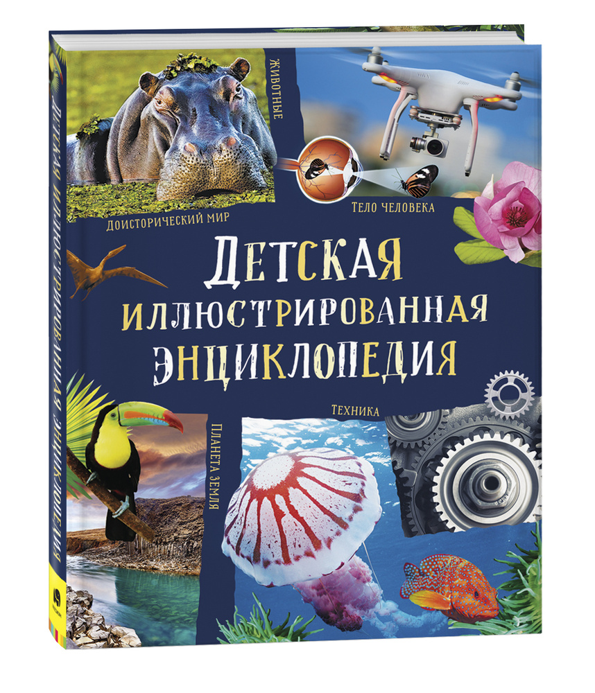 Детская иллюстрированная энциклопедия | Смит Миранда, Тейлор Барбара  #1