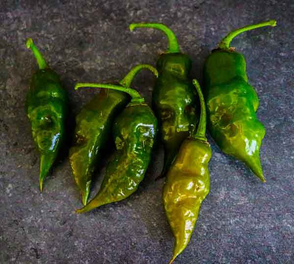 Перец острый Trinidad Scorpion Green (лат. Capsicum Chinense) СЕМЕНА 5шт + подарочек  #1