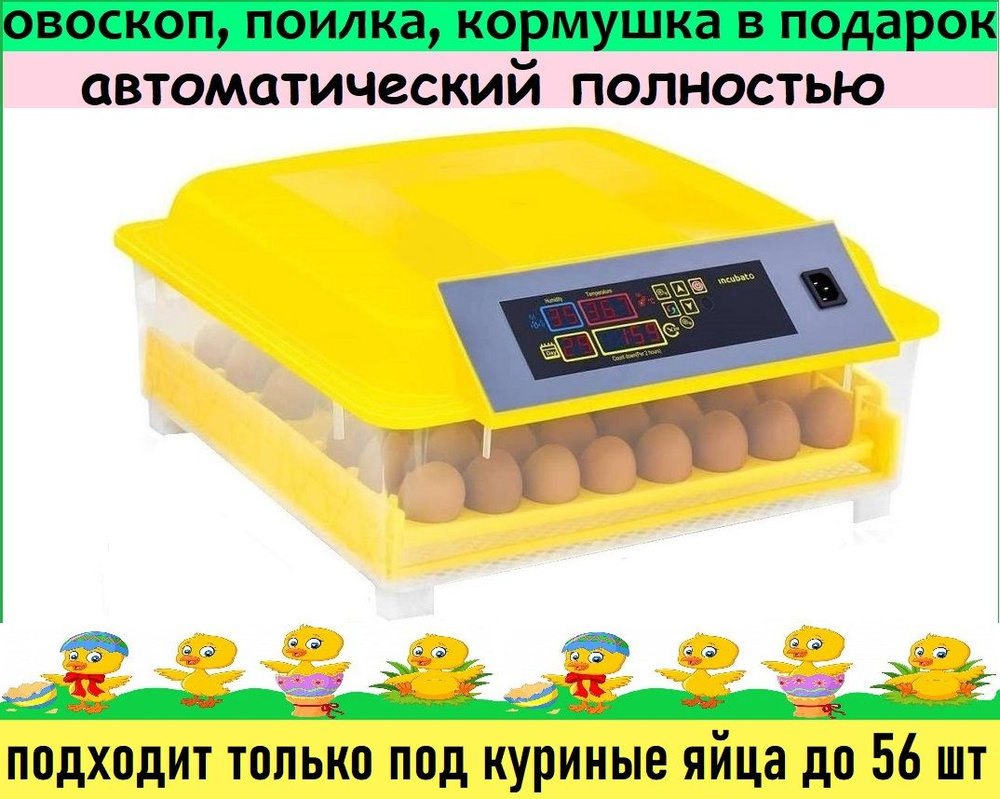 Инкубаторы для яиц из пенопласта