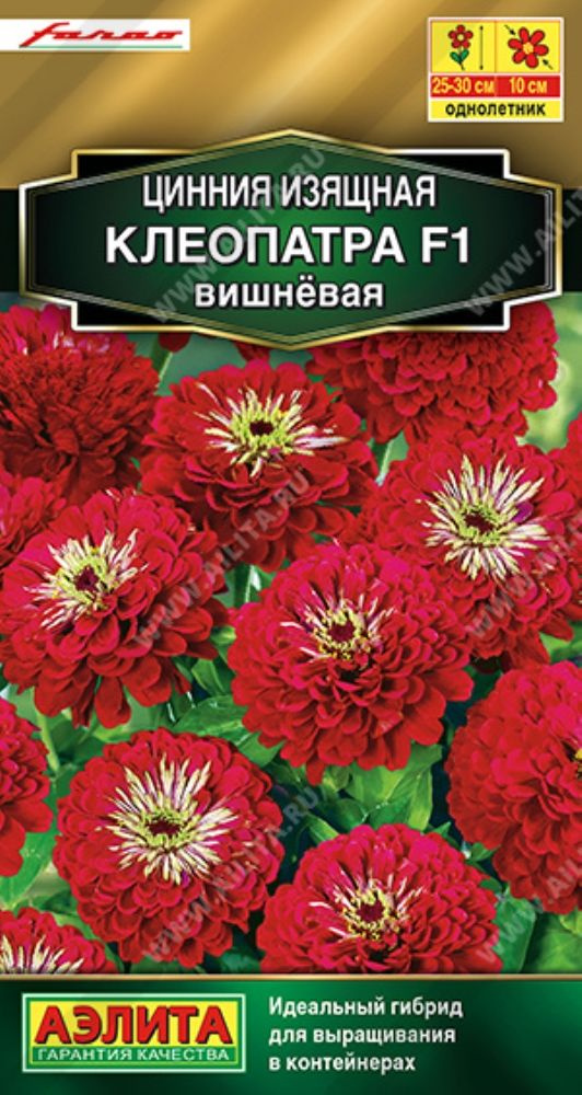 Цинния Клеопатра F1 вишневая однолетник 30см (Аэлита) 10уп по 12шт  #1