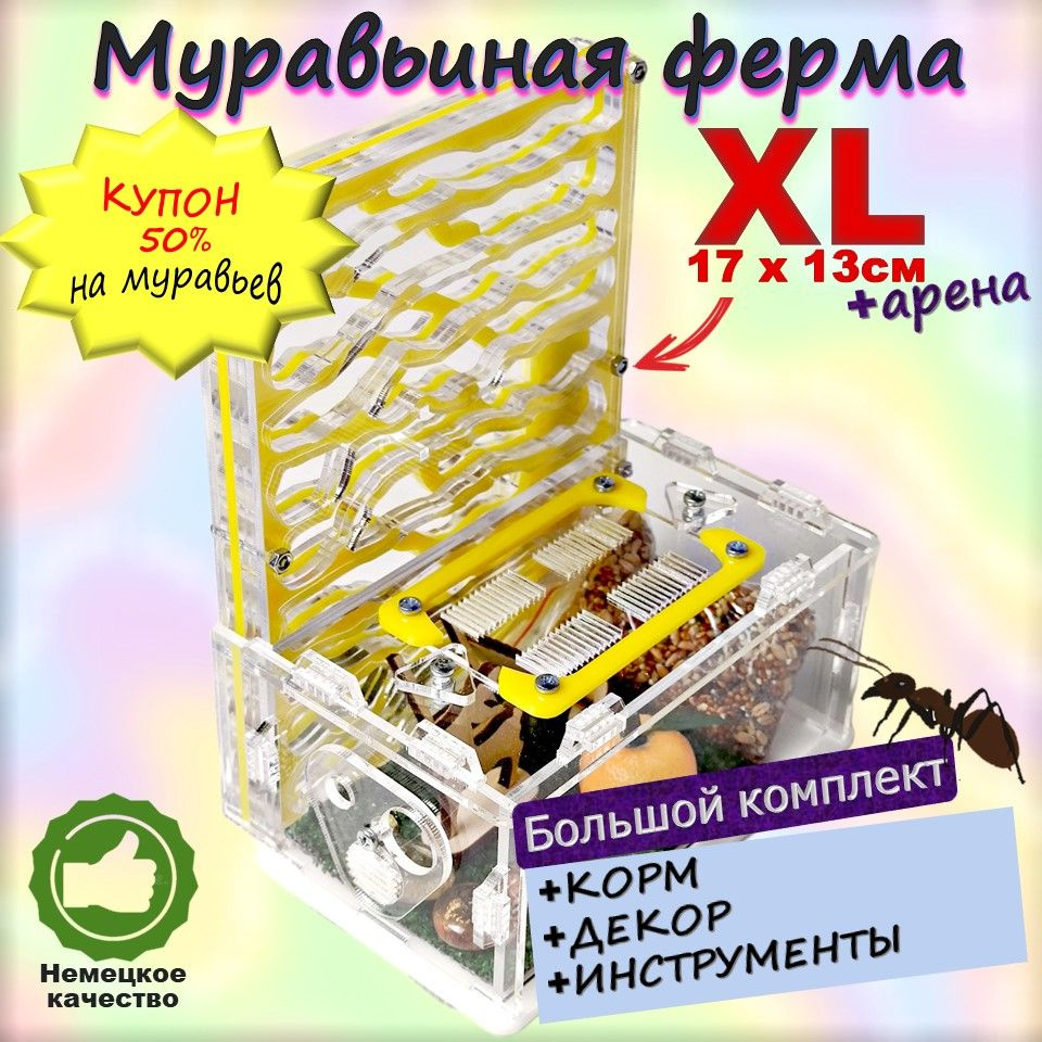 Большая вертикальная муравьиная ферма Yellow - купить с доставкой по  выгодным ценам в интернет-магазине OZON (786880305)