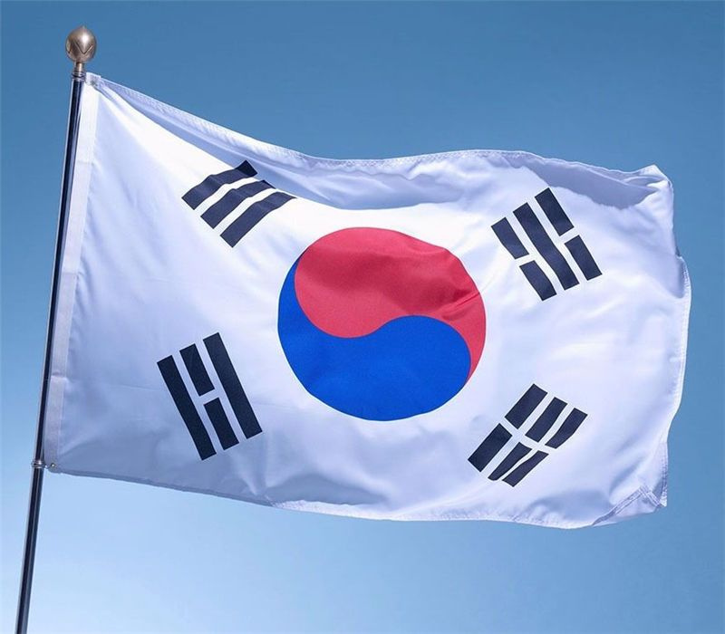 Флаг Южная Корея государственный 90х150 см #1