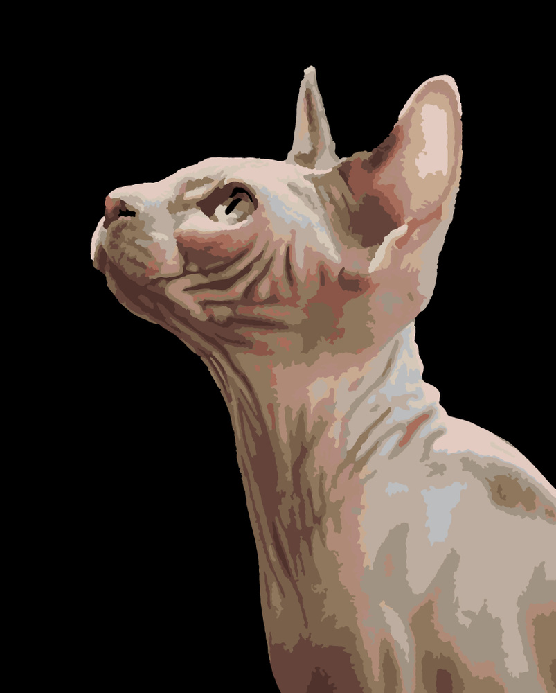Картина по номерам холст на подрамнике 40х50 см. Сфинкс. Кот и кошка. Котенок  #1