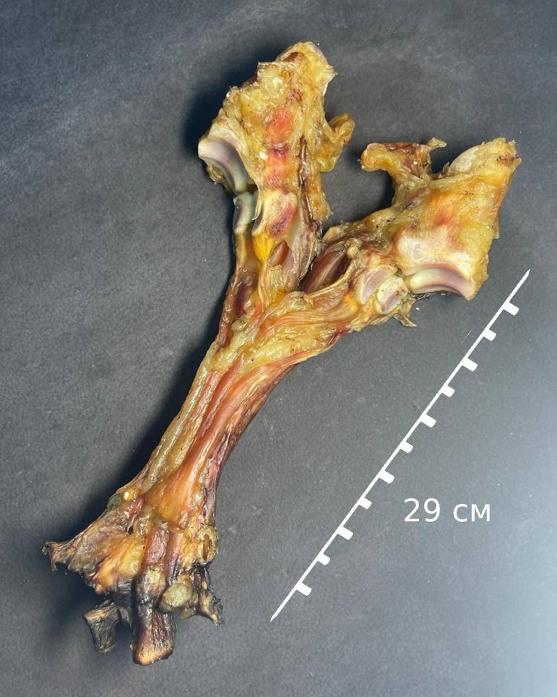 Жила с суставами, натуральное лакомство для всех пород собак, погрызушка  #1