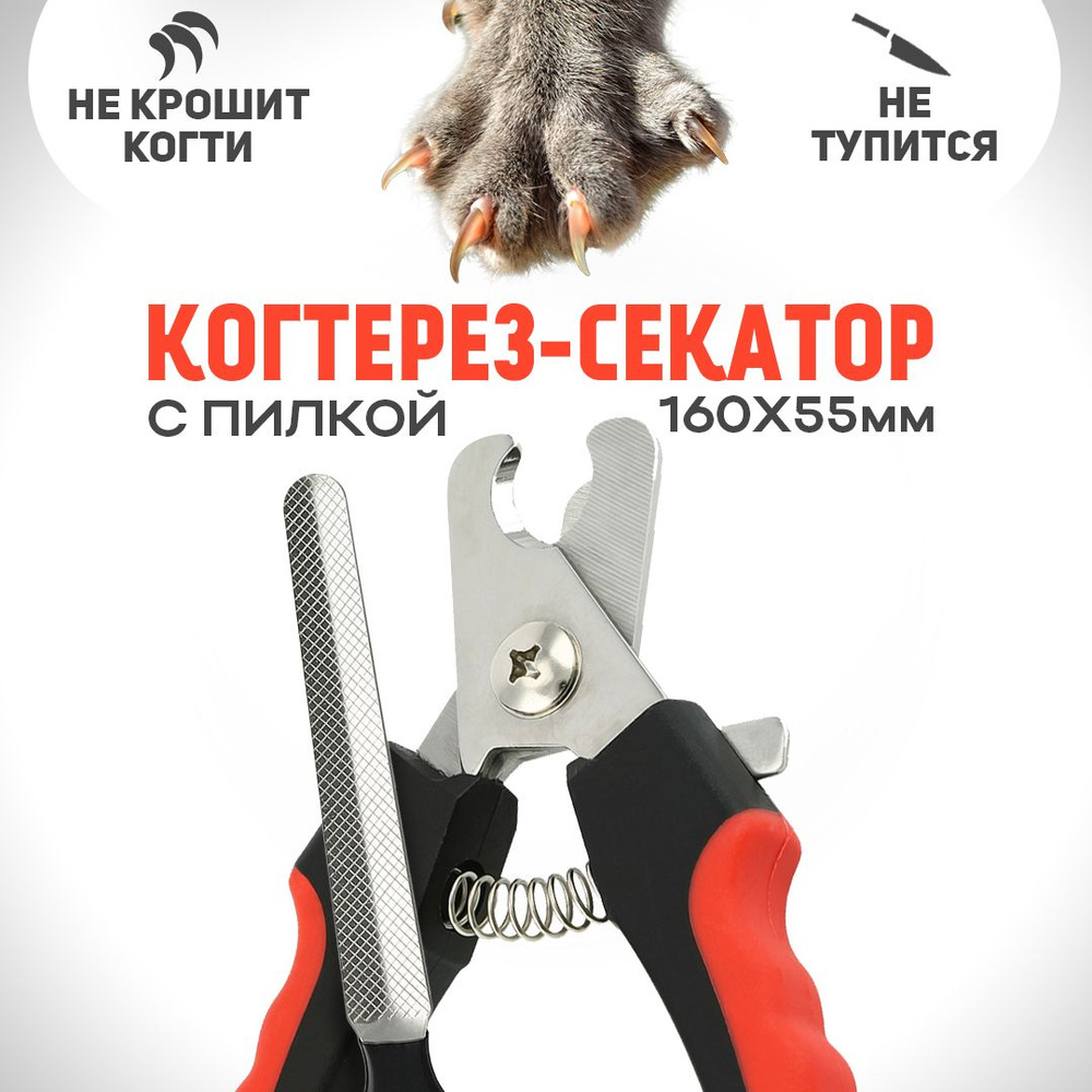 Когтерез-секатор для домашних животных 16 см / Ножницы для cтрижки когтей кошек и собак  #1