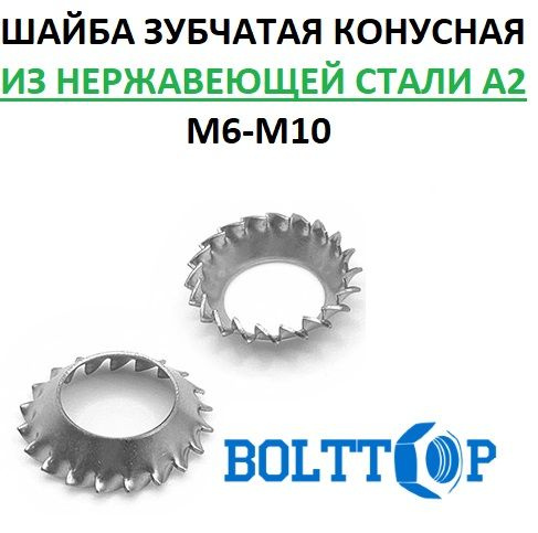 Шайба зубчатая DIN 6798 тип V (конусная) для резьбы М6, нержавеющая А2 (AISI 304), 10 шт  #1