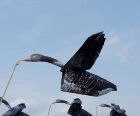 Чучело серого гуся - флюгер с крыльями, летающее #1