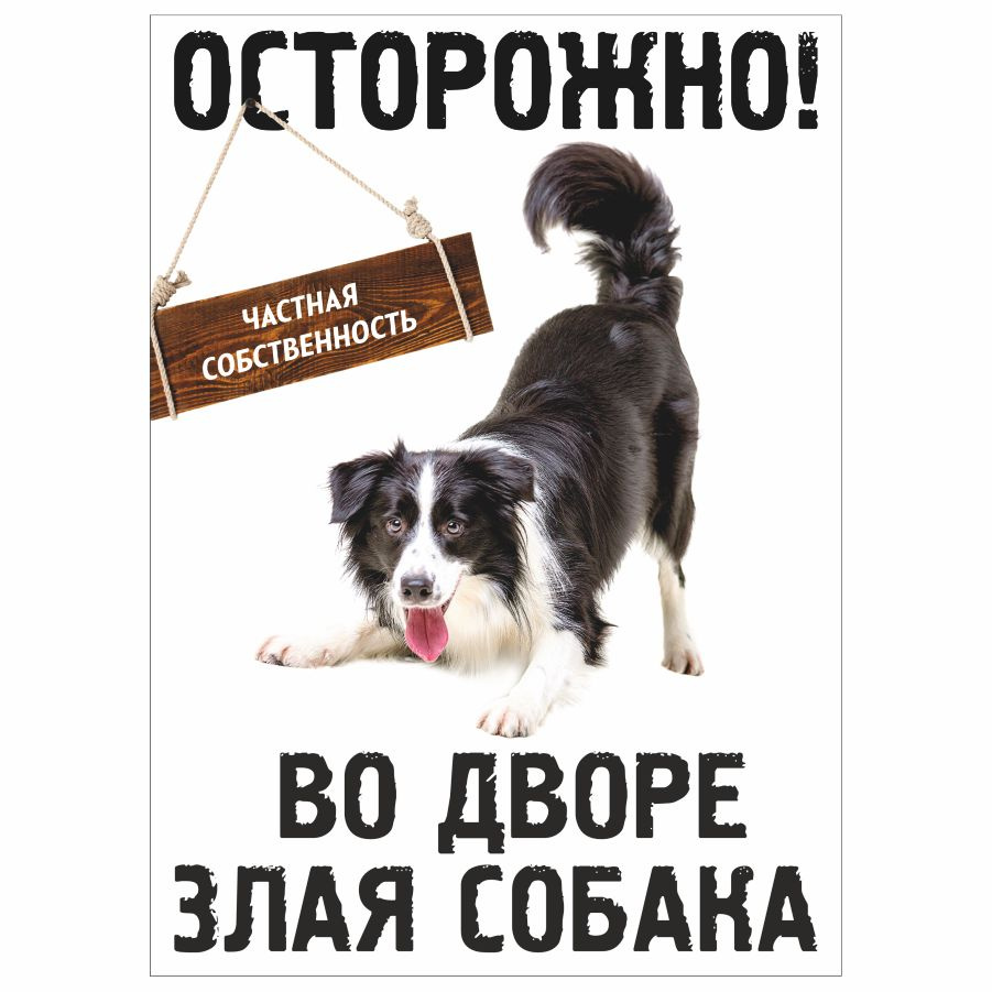 Табличка, с юмором, прикол, DANGER DOG, Осторожно! Во дворе злая собака, 18x25 см  #1