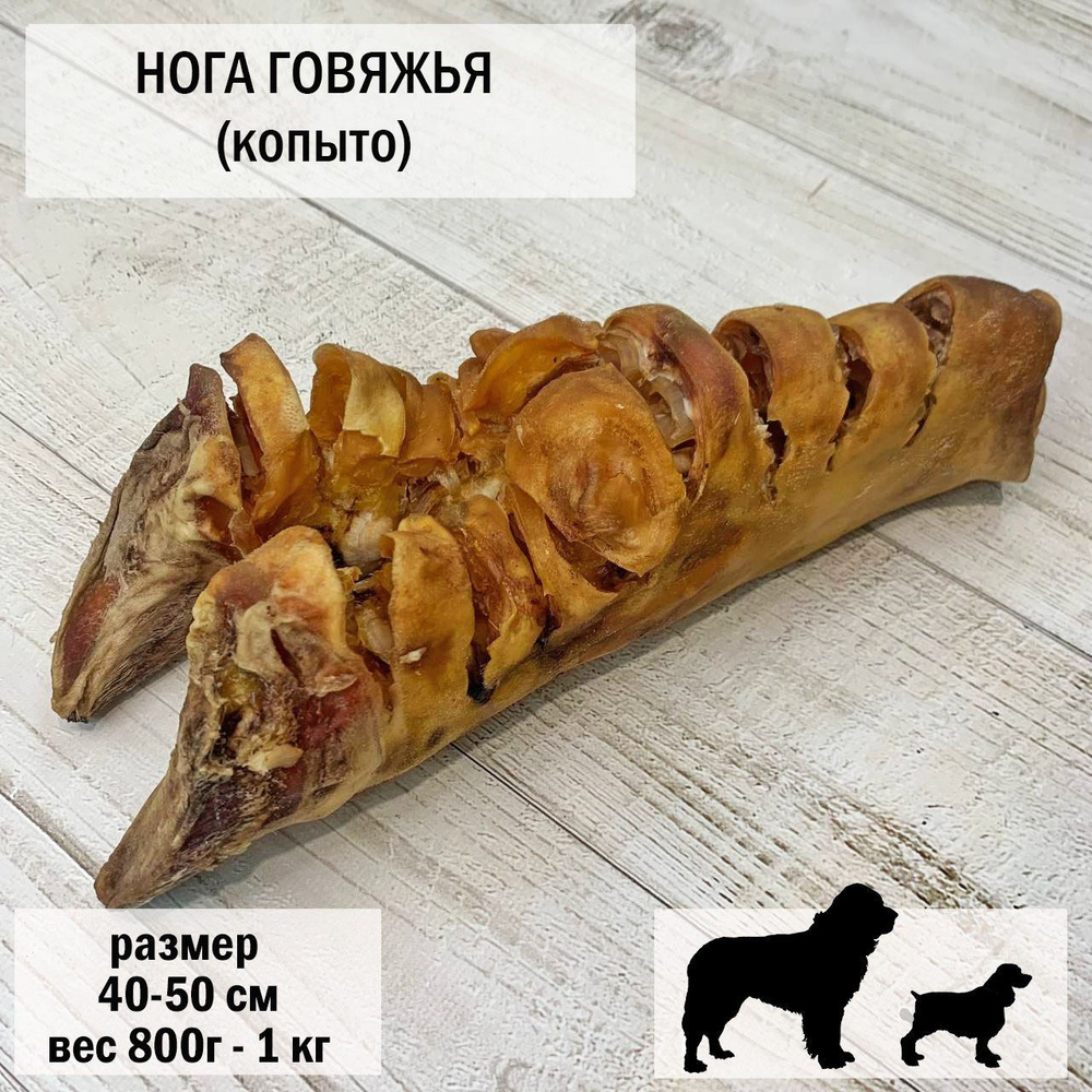 Нога говяжья для собак целая 3 шт. / 800-1000 гр, лакомство для собак Dog's Аppetite  #1