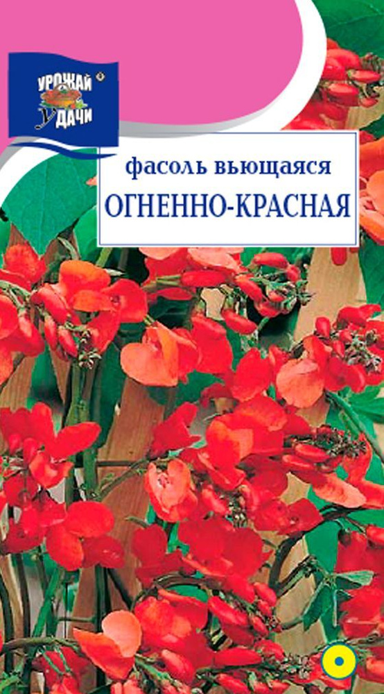 Фасоль ВЬЮЩАЯСЯ ОГНЕННО-КРАСНАЯ (Семена УРОЖАЙ УДАЧИ, 5 г семян в упаковке)  #1