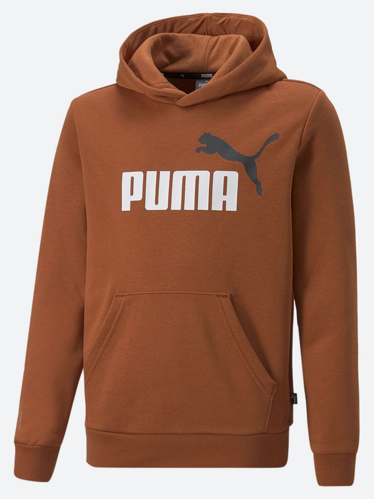 Худи PUMA Ess+ 2 Col Big Logo Hoodie Fl B #1