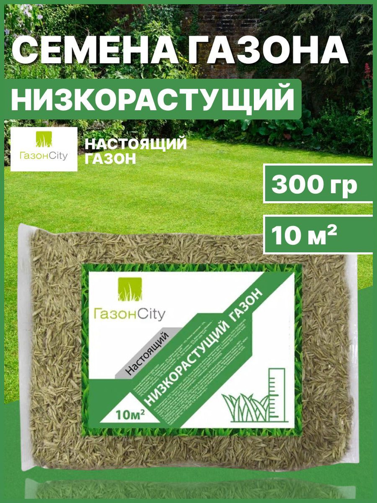 Семена газона Настоящий НИЗКОРАСТУЩИЙ 0,3 кг #1