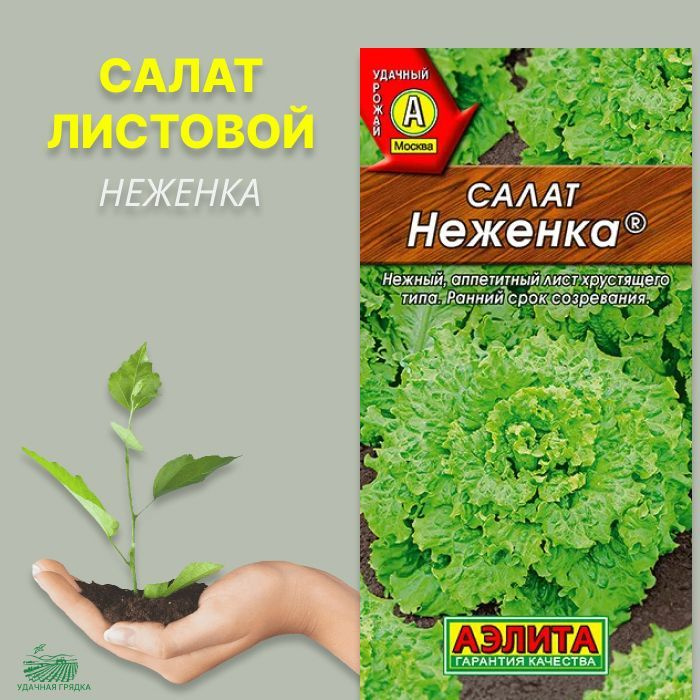 Семена салат листовой Неженка, Аэлита - 0,5г, для открытого грунта  #1