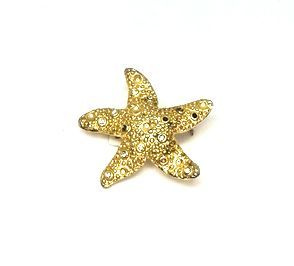 Комплект золотистая металлическая ретро брошь и серьги-клипсы морская звезда со вставками из камня  #1
