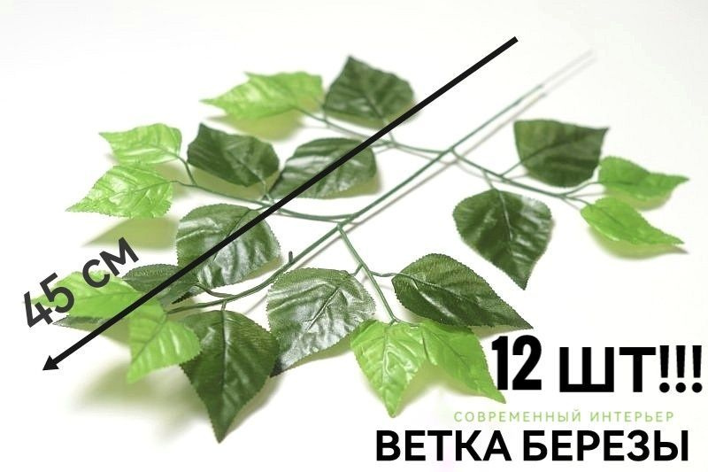 GreenHome54 Ветка, шишка декоративная,12шт #1