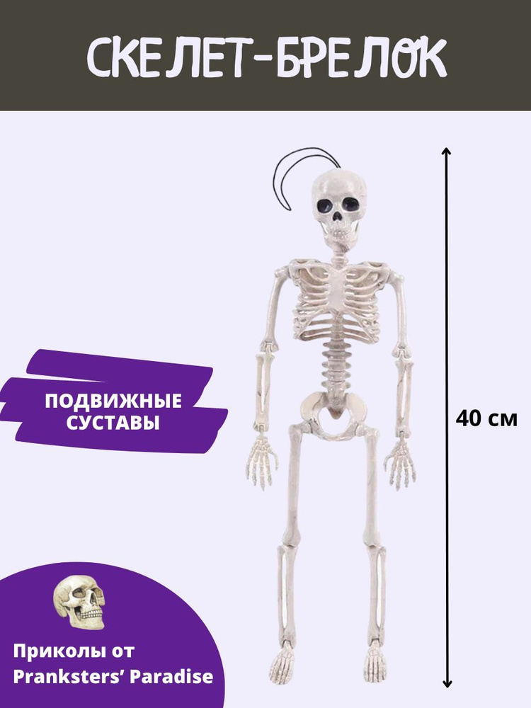 Скелет человека, 40 см, брелок #1