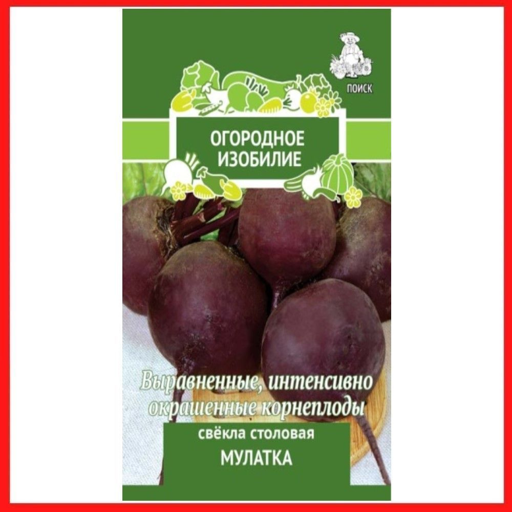 Семена Свекла столовая "Мулатка", 3 гр, для дома, дачи и огорода, в открытый грунт, овощи из семян.  #1