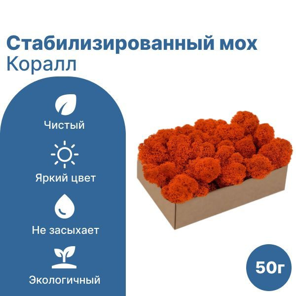 Сибирский Мох Стабилизированный мох Мох, 50 гр, 1 шт #1