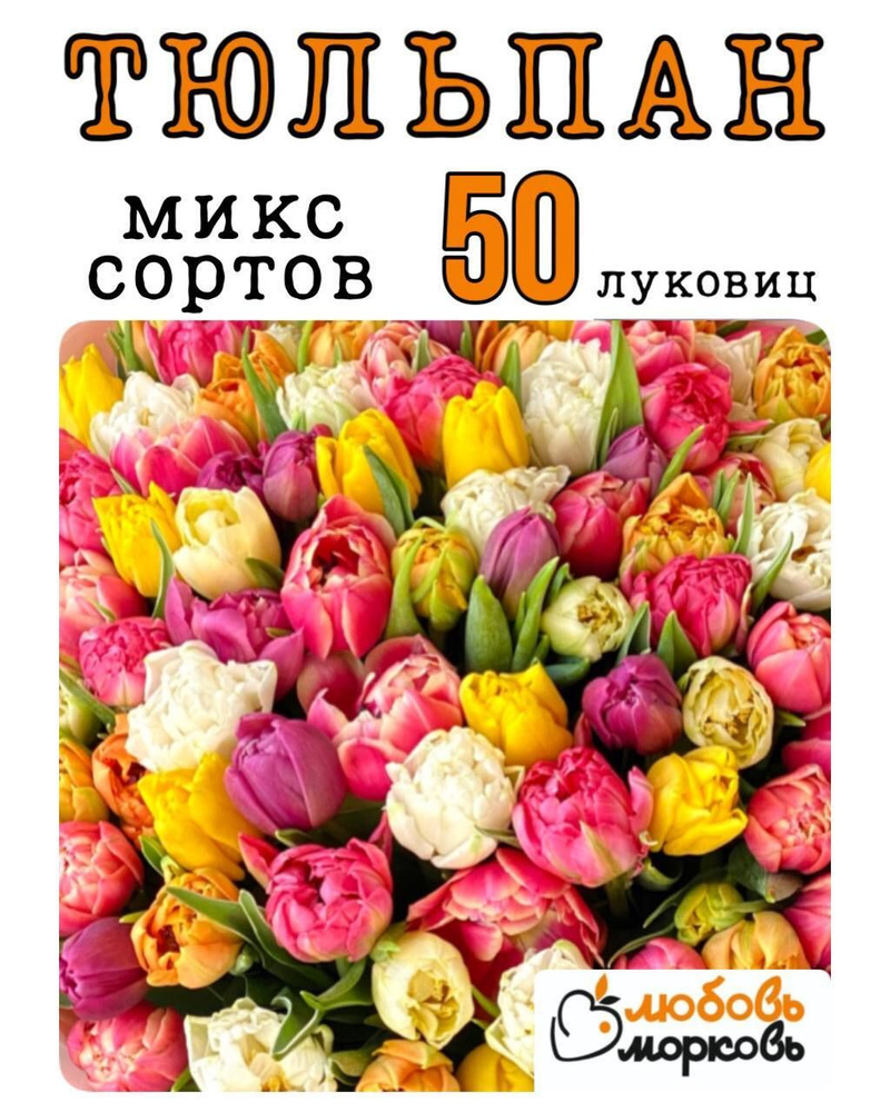 Тюльпан Луковица, Микс сортов, 50 шт (Любовь морковь) #1