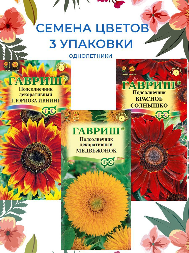 3 упаковки. Семена однолетних цветов: Подсолнечники Глориоза Ивнинг, Красное Солнышко, Медвежонок  #1