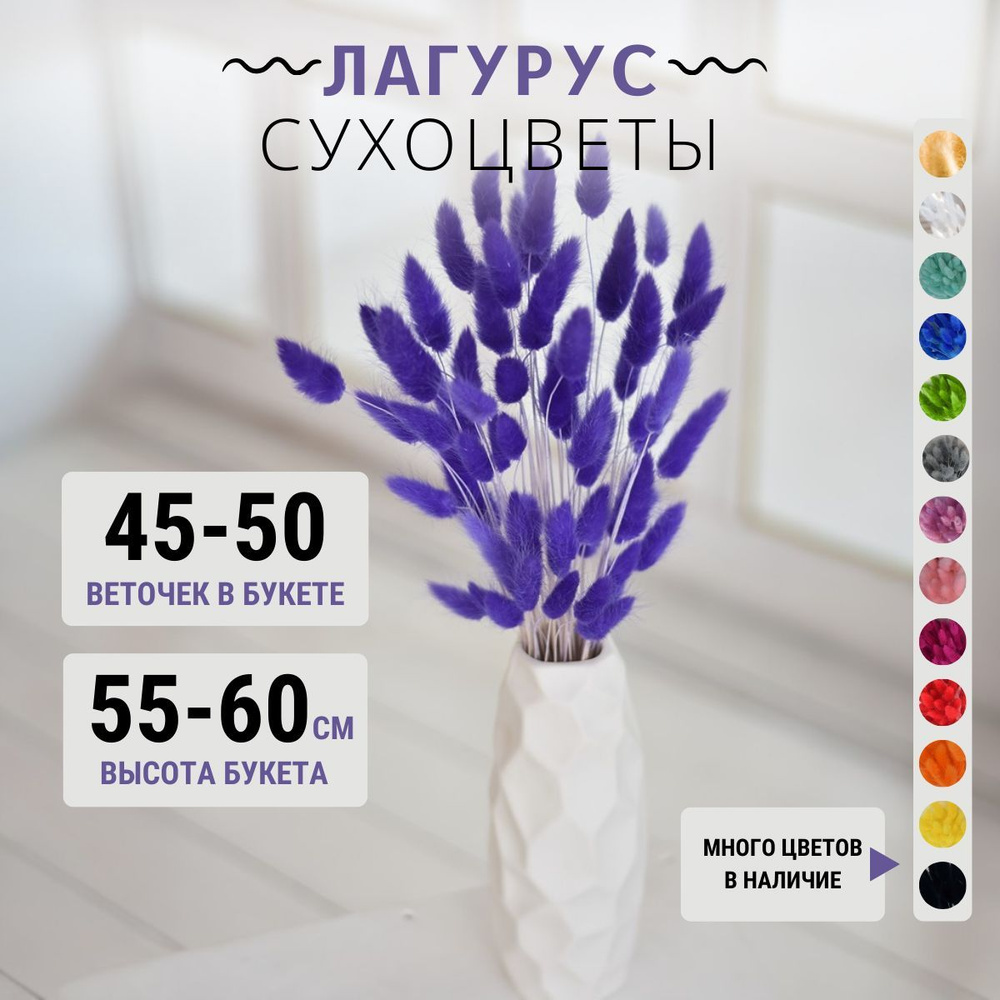 Сухоцвет Лагурус для декора Trava Decor букет цветов для вазы, декора, фиолетовая  #1