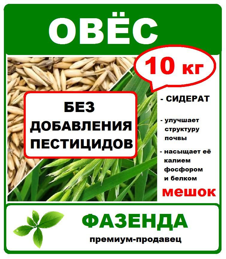 Овес семена 10 кг. (мешок) Сидерат, улучшитель почвы. Без добавления пестицидов. Фазенда Сибири  #1