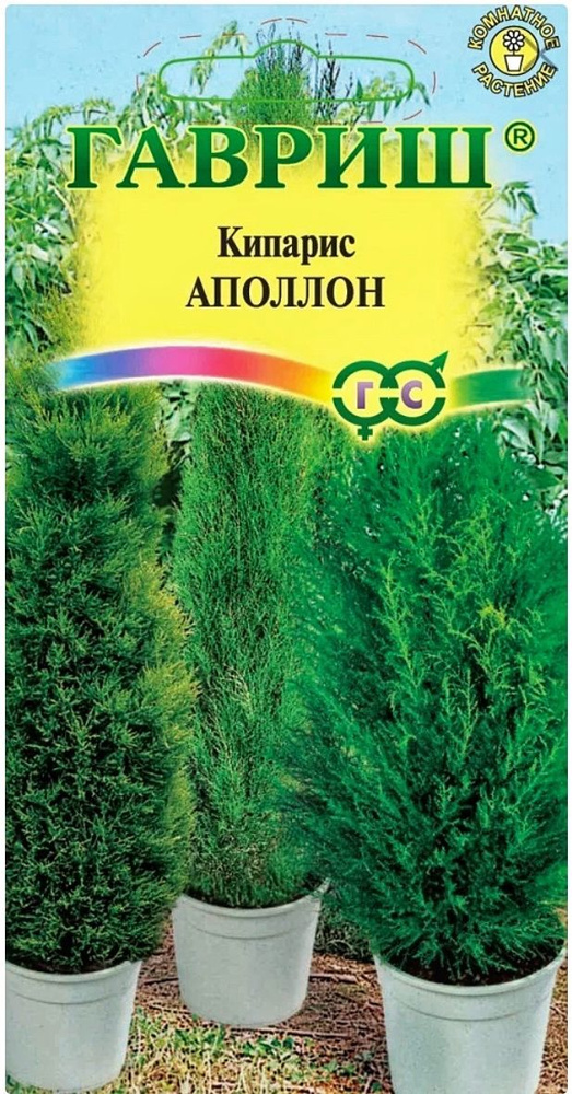 Кипарис Аполлон (вечнозеленый), 1 пакет, семена 0,1 гр, Гавриш  #1