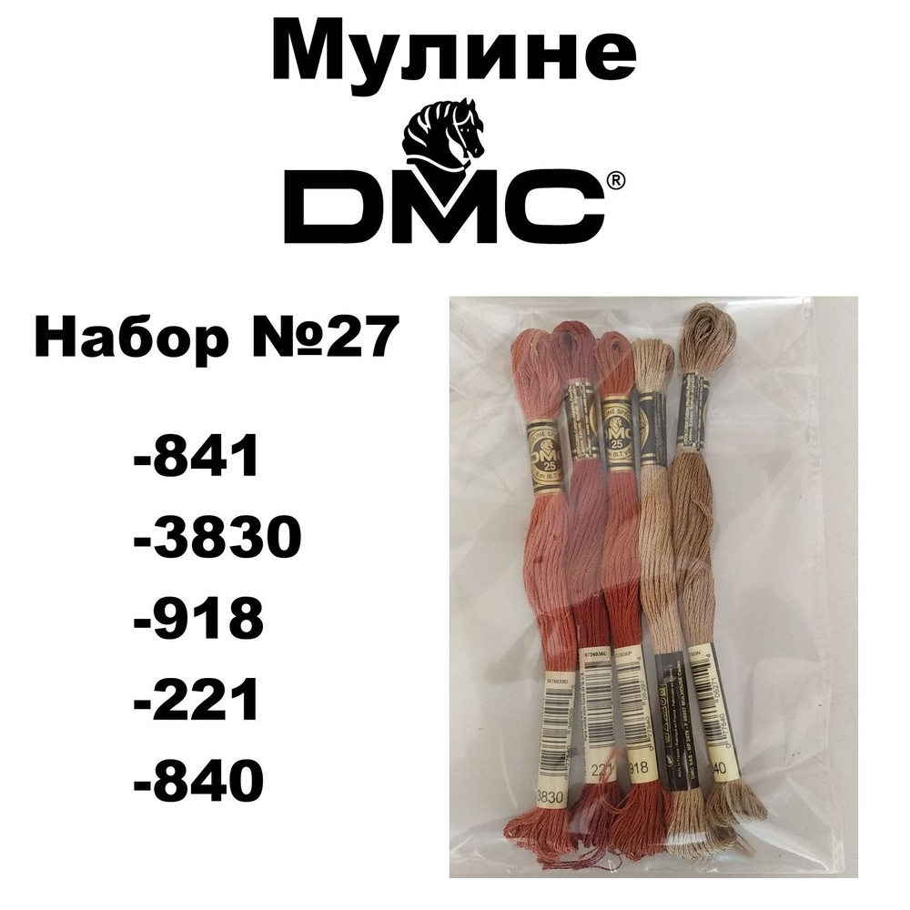 Нитки мулине DMC Embroidery для вышивания / Набор №27 / цвета 841, 3830, 918, 221, 840  #1