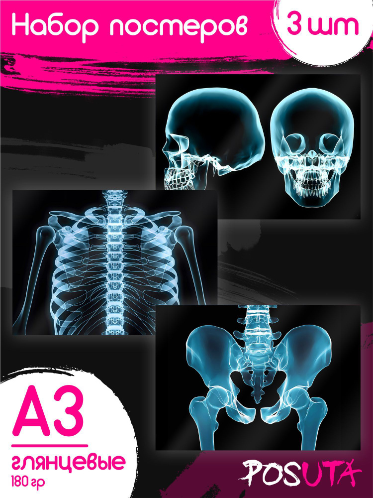 Постеры для интерьера анатомия человека мышцы Плакаты для медиков  #1